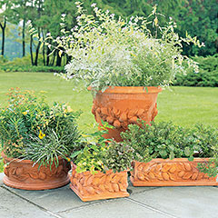 terracotta terracotta