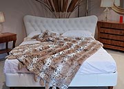 iSearchDecor